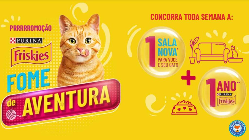 Concorra a 1 ano de Purina Friskies